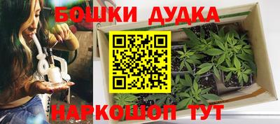 мяу мяу мука Краснознаменск
