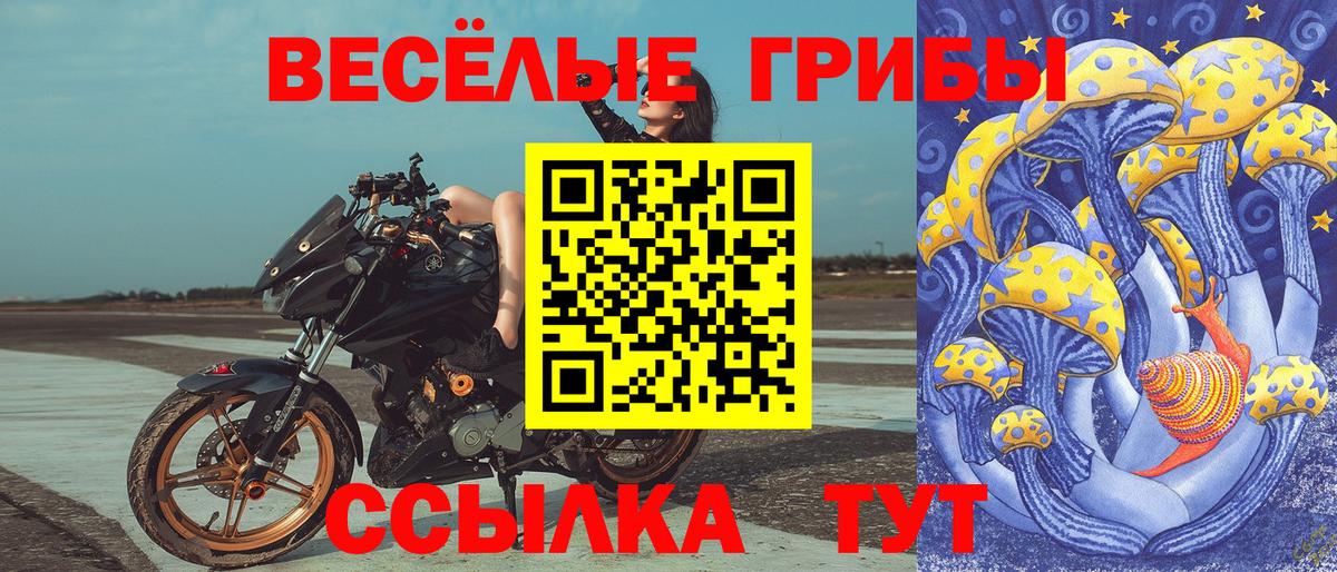 Галлюциногенные грибы прущие грибы Донской