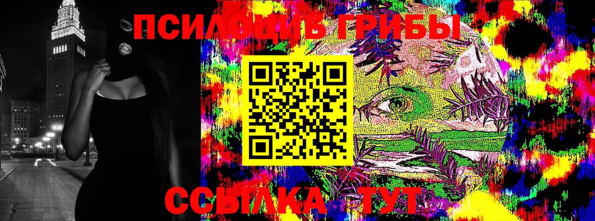 Донской  Псилоцибиновые грибы Psilocybine cubensis  наркотики  Вход с VPN  Галлюциногенные грибы Psilocybe 